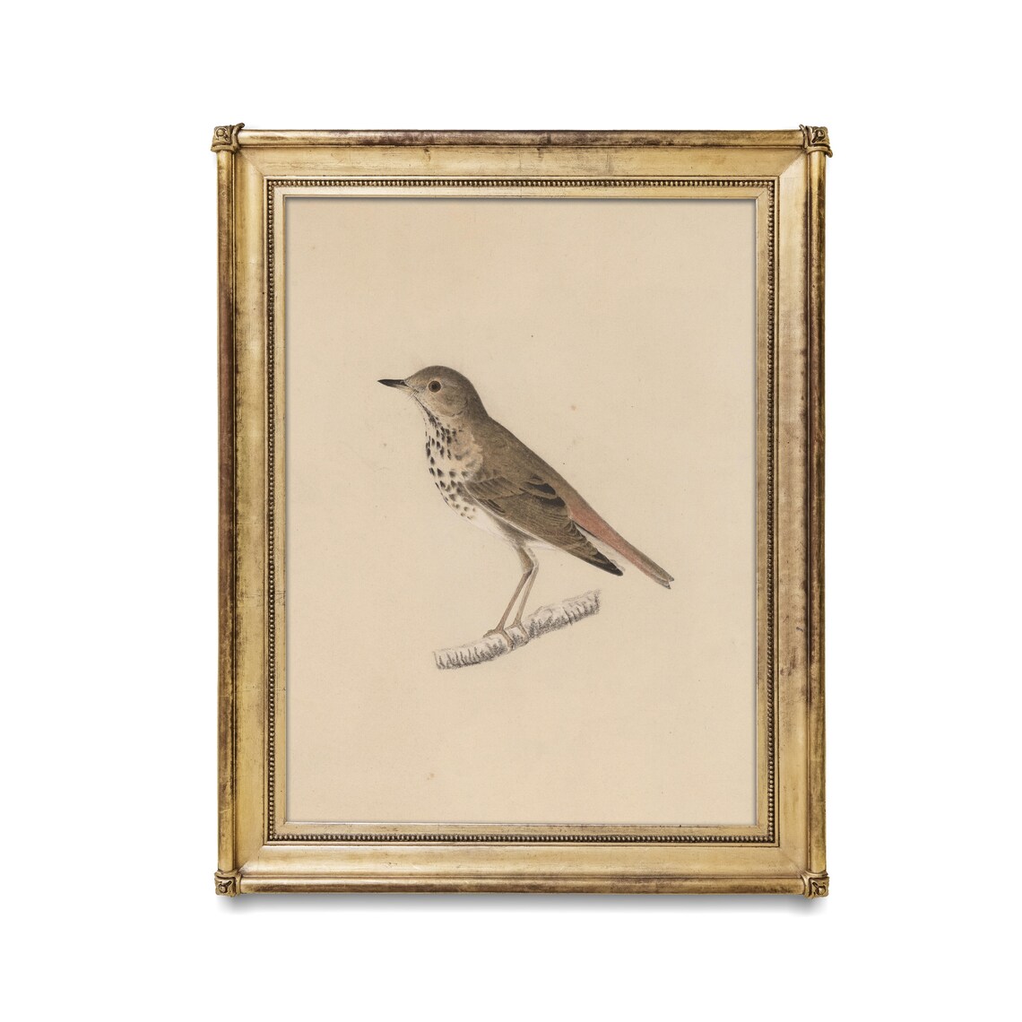Vintage Bird Sketch Antique Drawing Art Print, Farmhouse - Image 4
