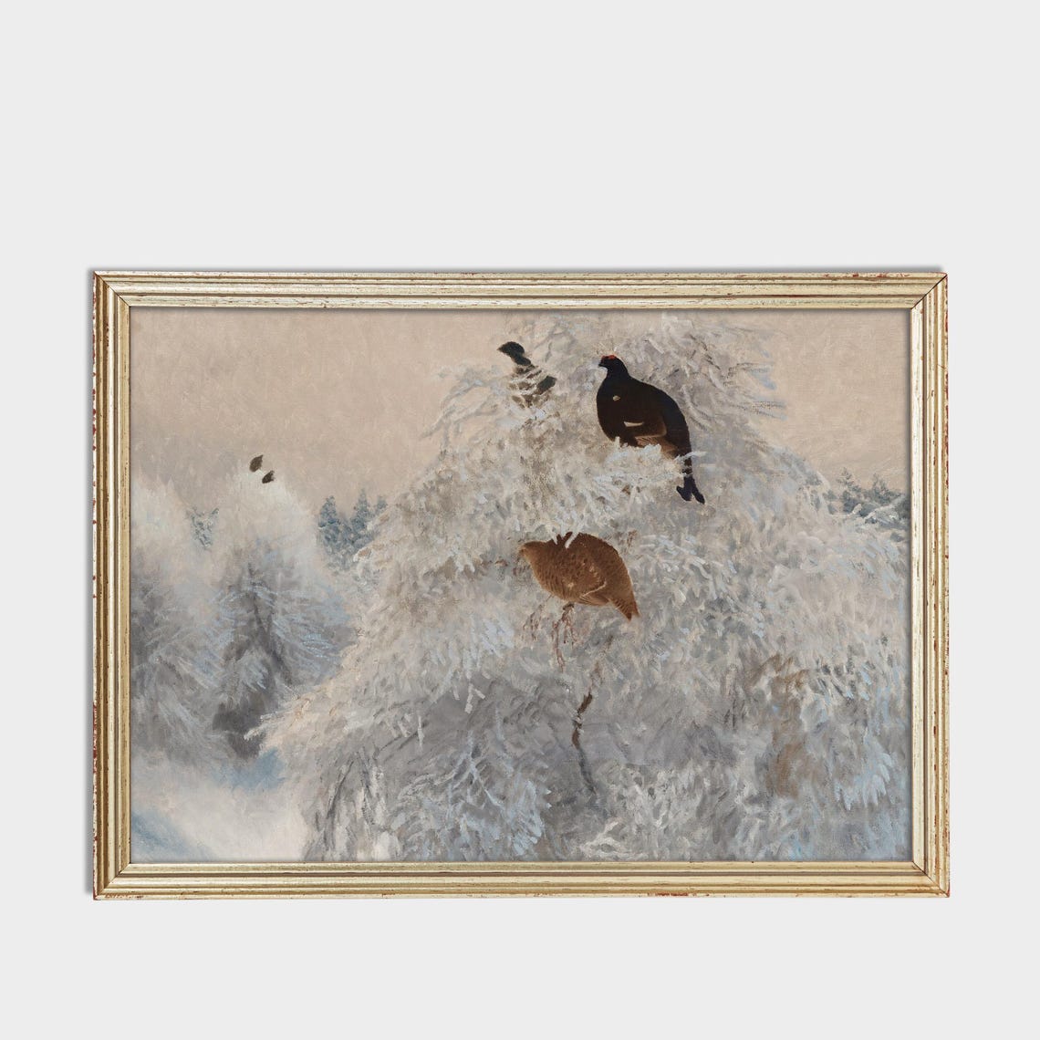 Black Grouse Perched on Frosty Treetops Vintage Winter Bird Poster - Image 3