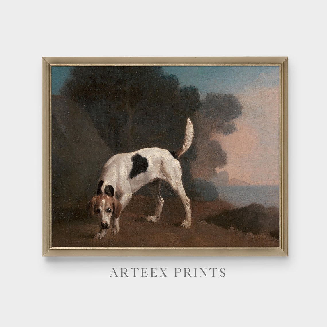 Spotted Hunting Hound Sniffing the Ground Antique Sport Poster - Image 5