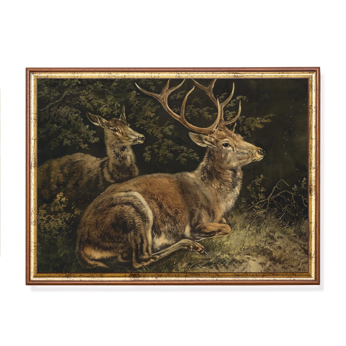 Vintage Deer Painting, Rustic Animal Art Print