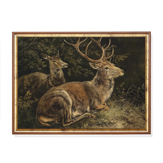 Resting Stag and Hind in a Dark Forest Clearing Vintage Deer Poster