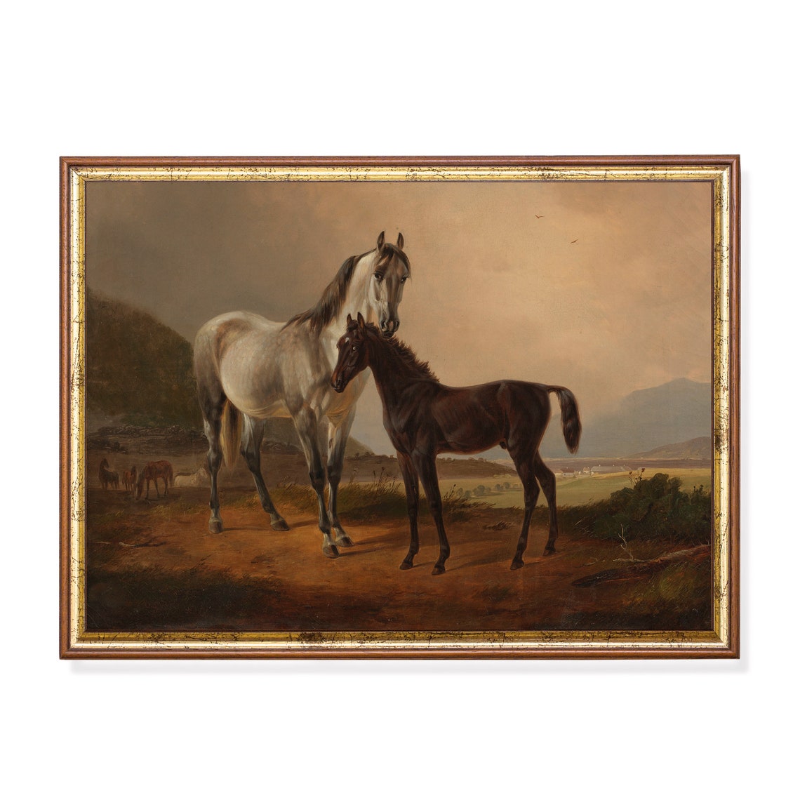Antique White Mare and Dark Foal on a Hillside Vintage Poster