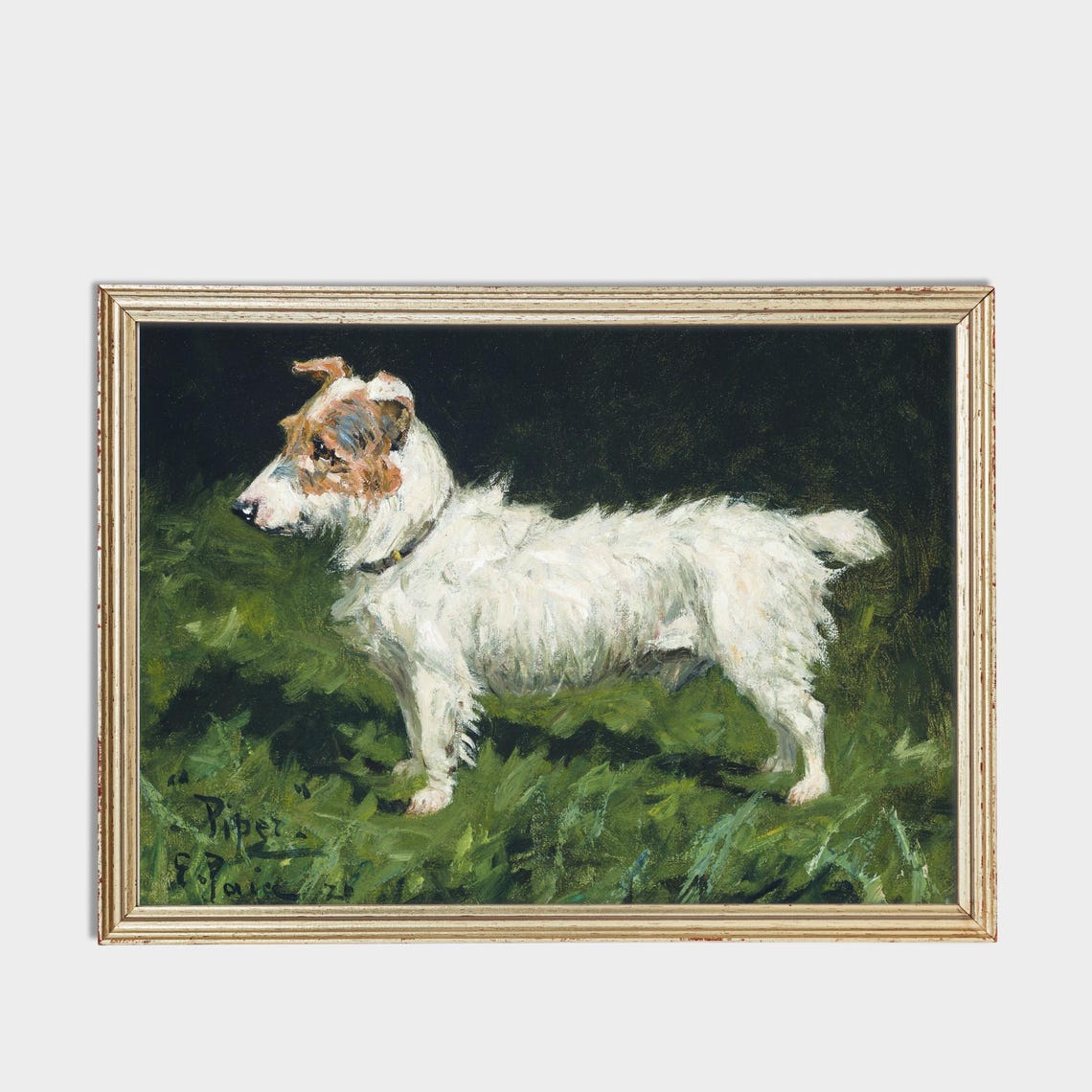 White Terrier Named Piper Standing Alert in Green Grass Poster - Image 3