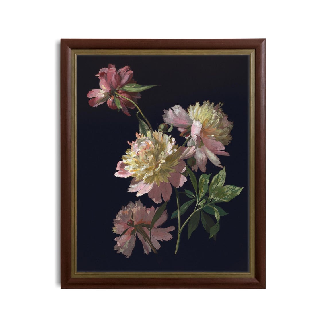Dark Academia Peonies Still Life on a Black Background Art Poster - Image 3