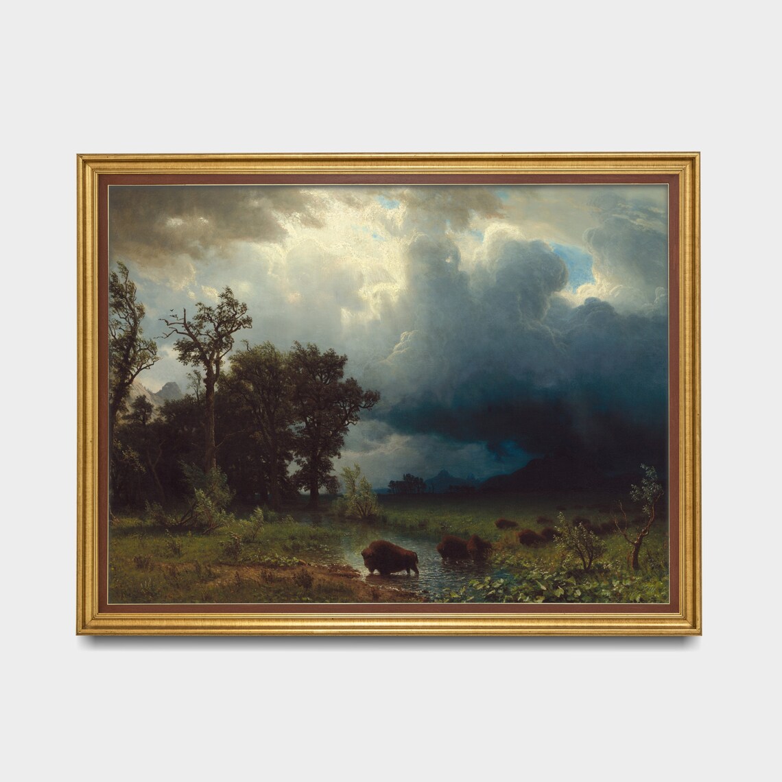 Vintage Buffalo Country Landscape Poster Print - Image 3