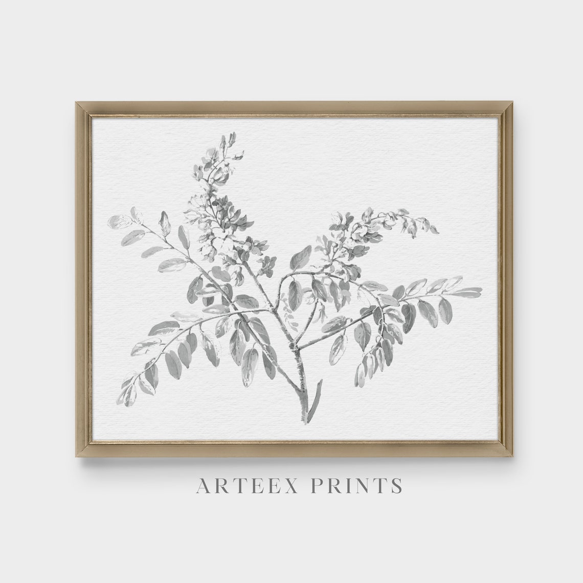 Delicate Branch Botanical Sketch Neutral Gray Line Art Poster - Image 4