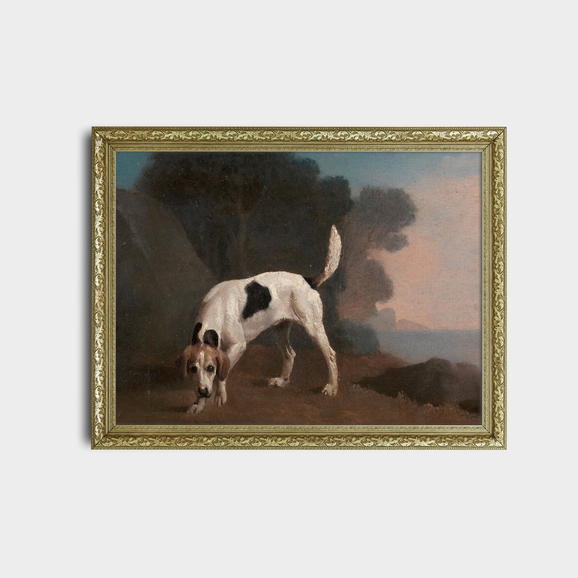 Spotted Hunting Hound Sniffing the Ground Antique Sport Poster - Image 2