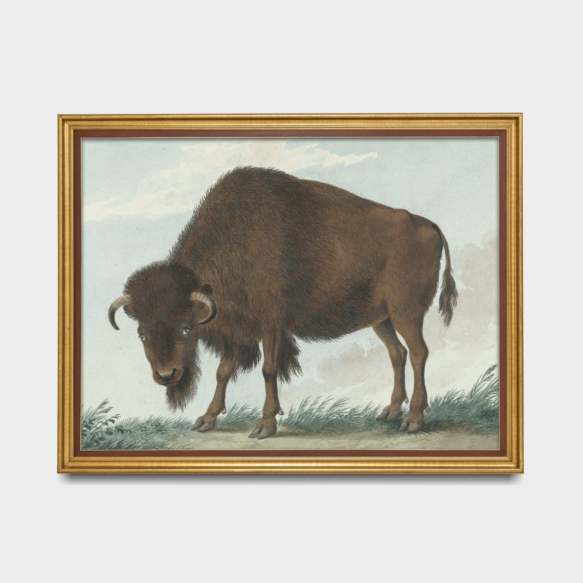 American Bison Standing in Tall Grass Vintage Wildlife Poster - Image 4
