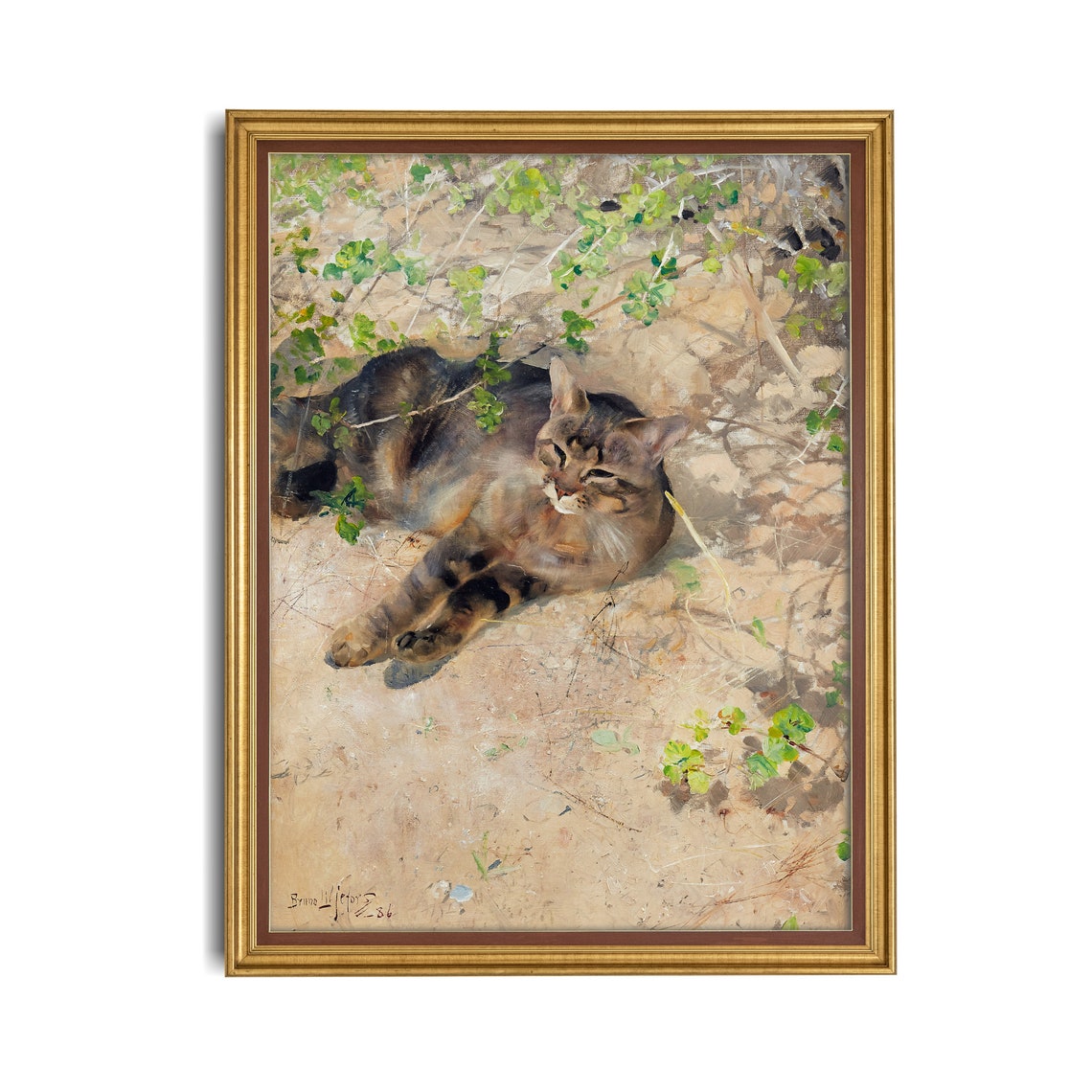 Sleeping Tabby Cat Lounging in Dappled Garden Sunlight Poster - Image 4