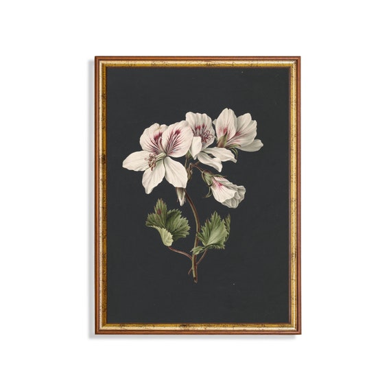 Mailed Print Vintage Floral Painting Dark Flower Print Moody Still Life Painting Botanical Art Farmhouse Decor Print And Ship
