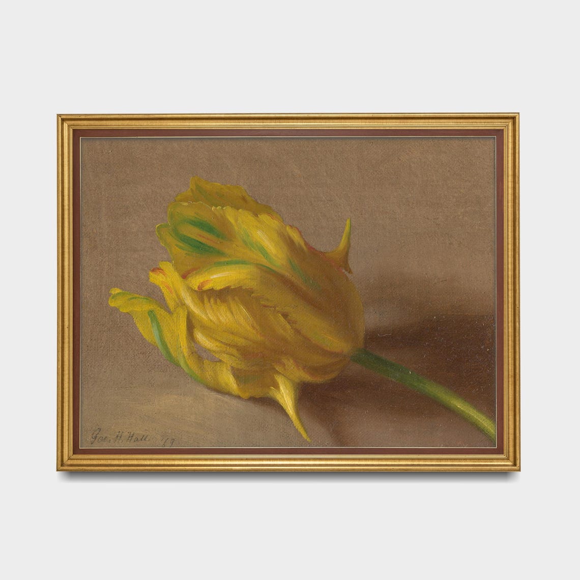 Single Golden Yellow Tulip Bloom Botanical Still Life Study Poster - Image 5