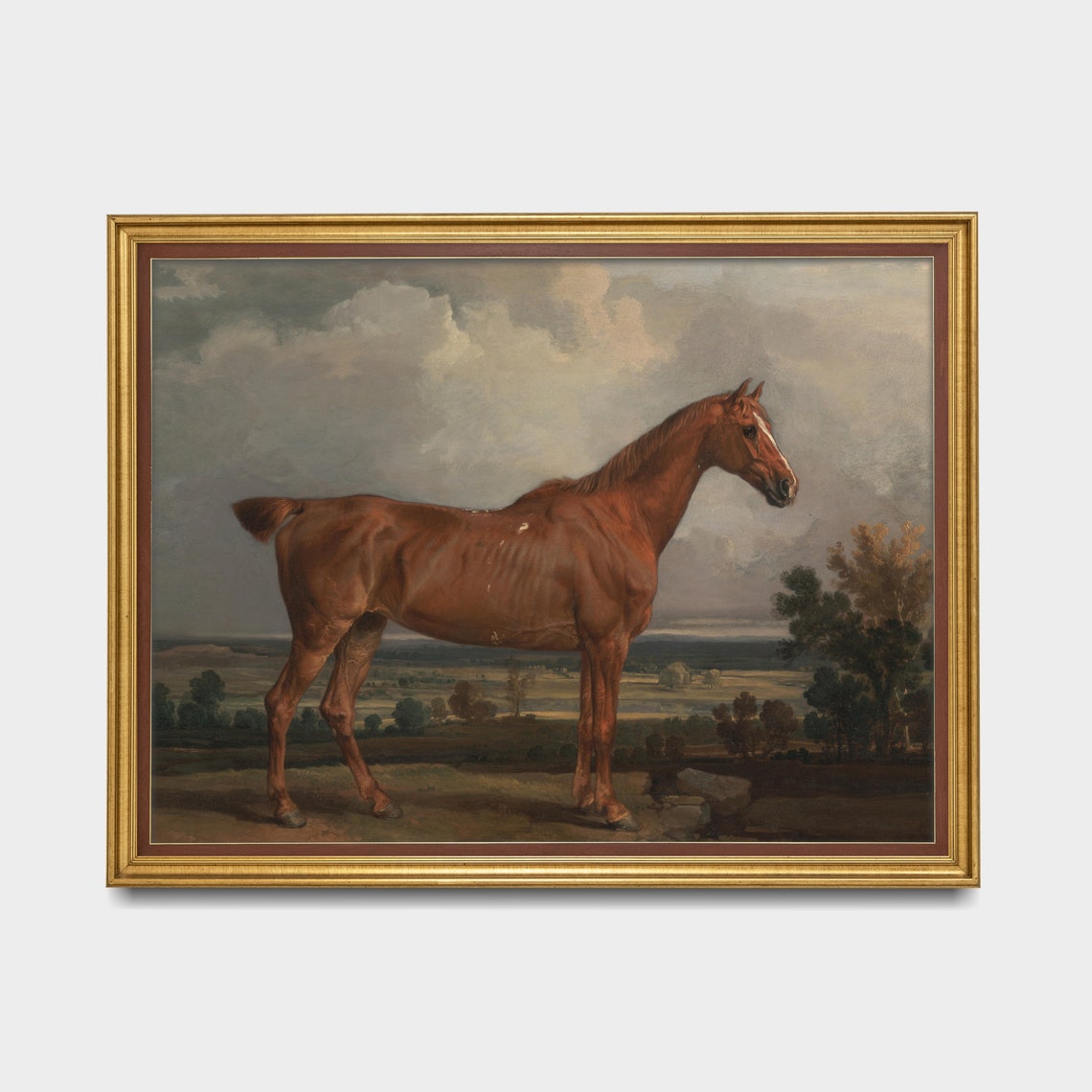 Chestnut Horse Standing Proudly Under a Stormy Cloudy Sky Poster - Image 5