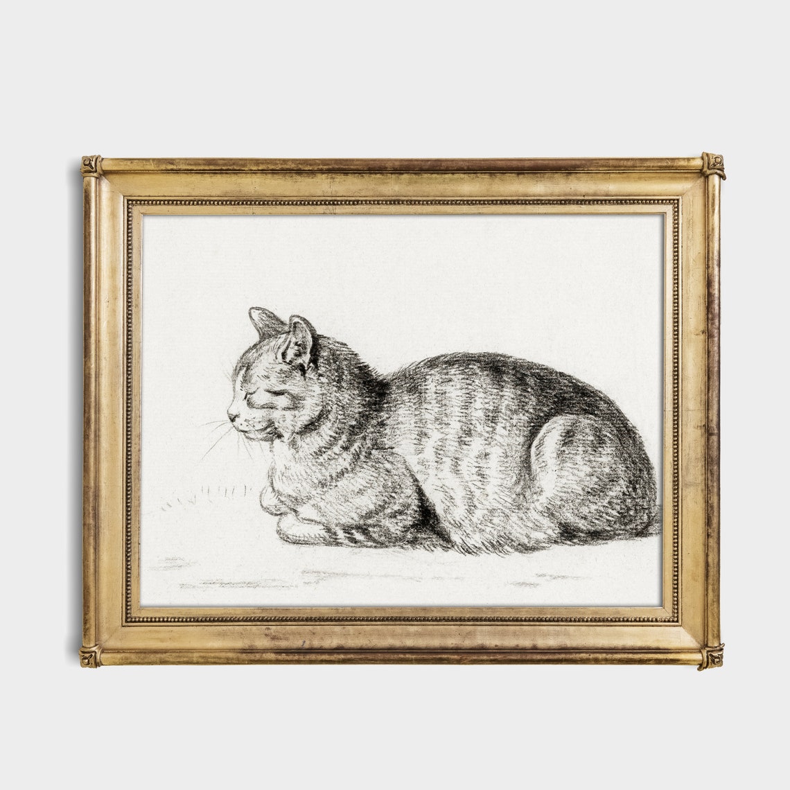 Sleeping Tabby Cat Resting in a Vintage Pencil Sketch Poster - Image 3