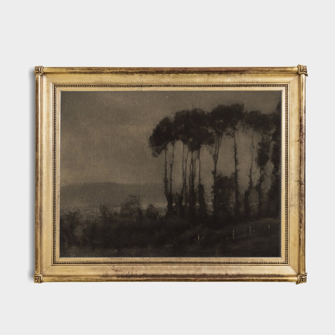 Tall Poplars Silhouetted Under a Dark Brooding Gray Sky Poster - Image 2