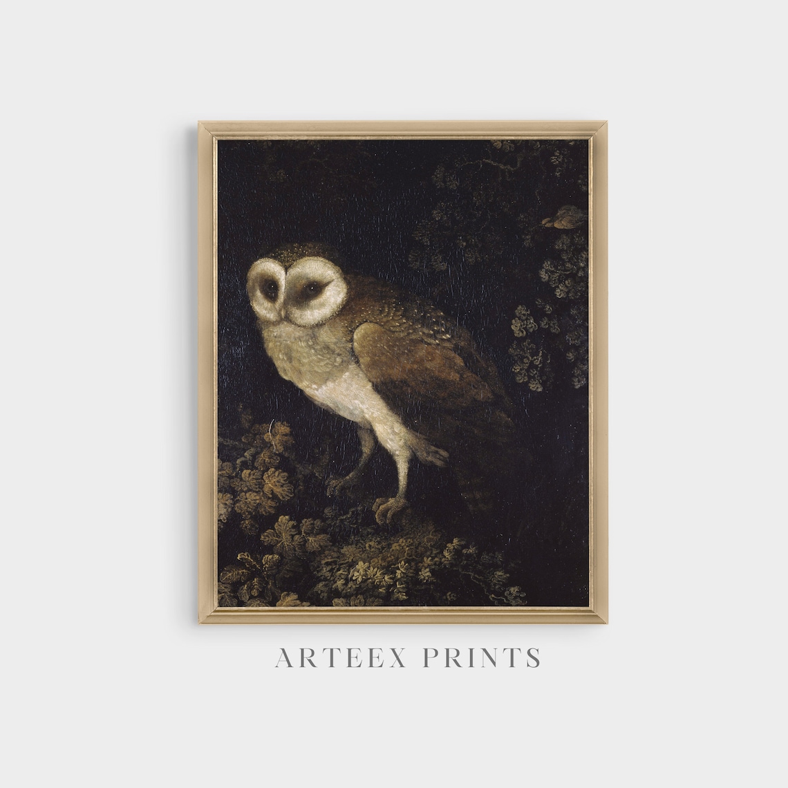 Vintage Owl Painting, Dark Academia Bird Art Print - Image 5