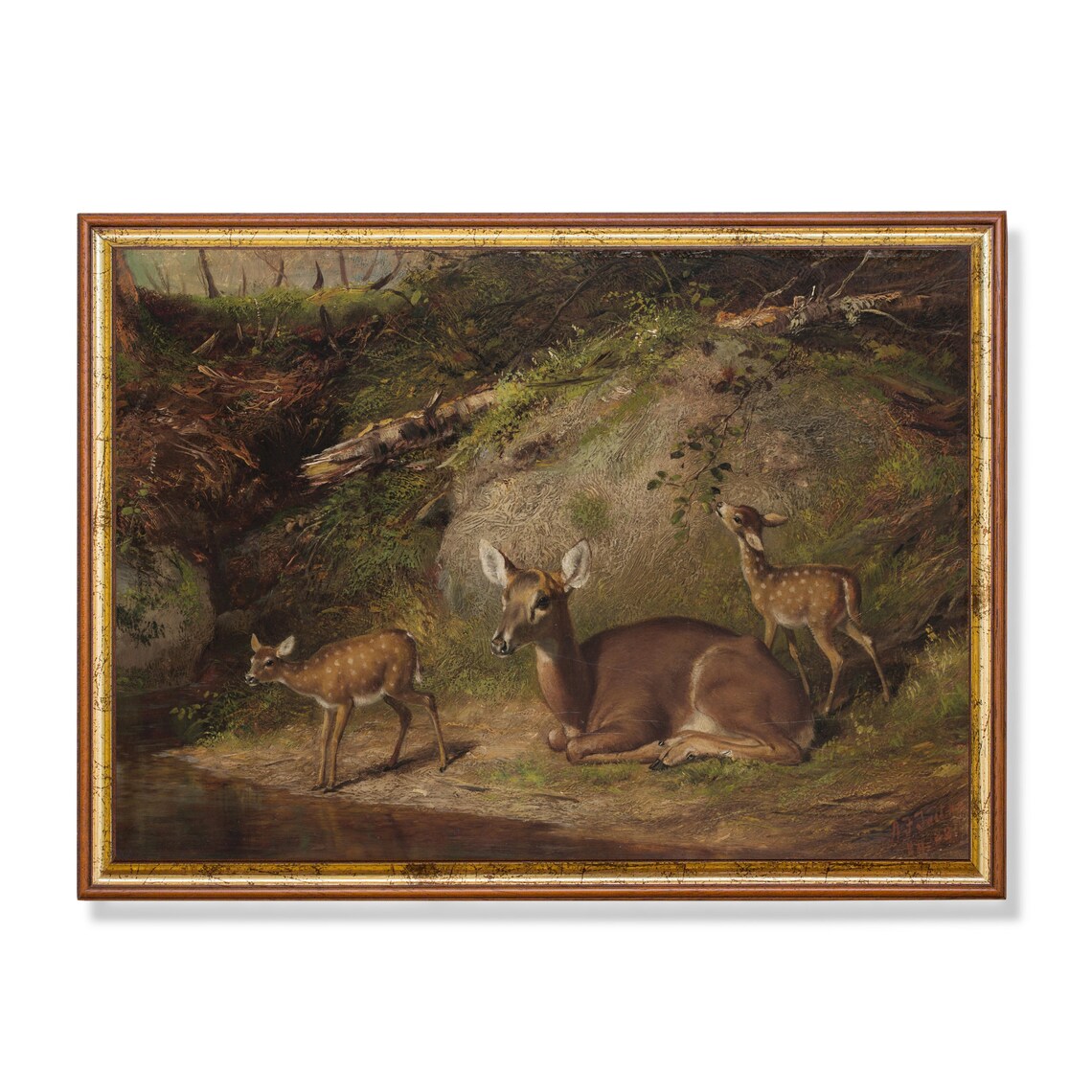 Doe With Two Fawns by a Woodland Stream Antique Deer Painting Poster