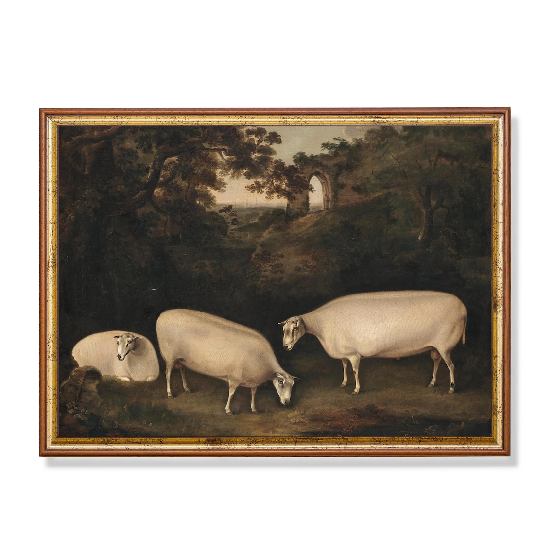 Three Sheep Grazing by Ruined Abbey Moody Antique Animal Art Print