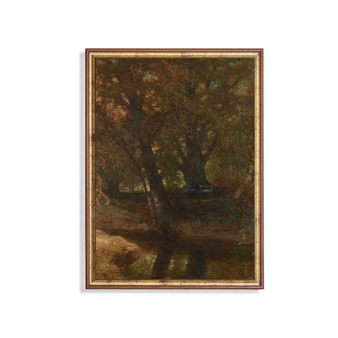 Moody Vertical Forest Stream with Ancient Trees and Rocks Poster