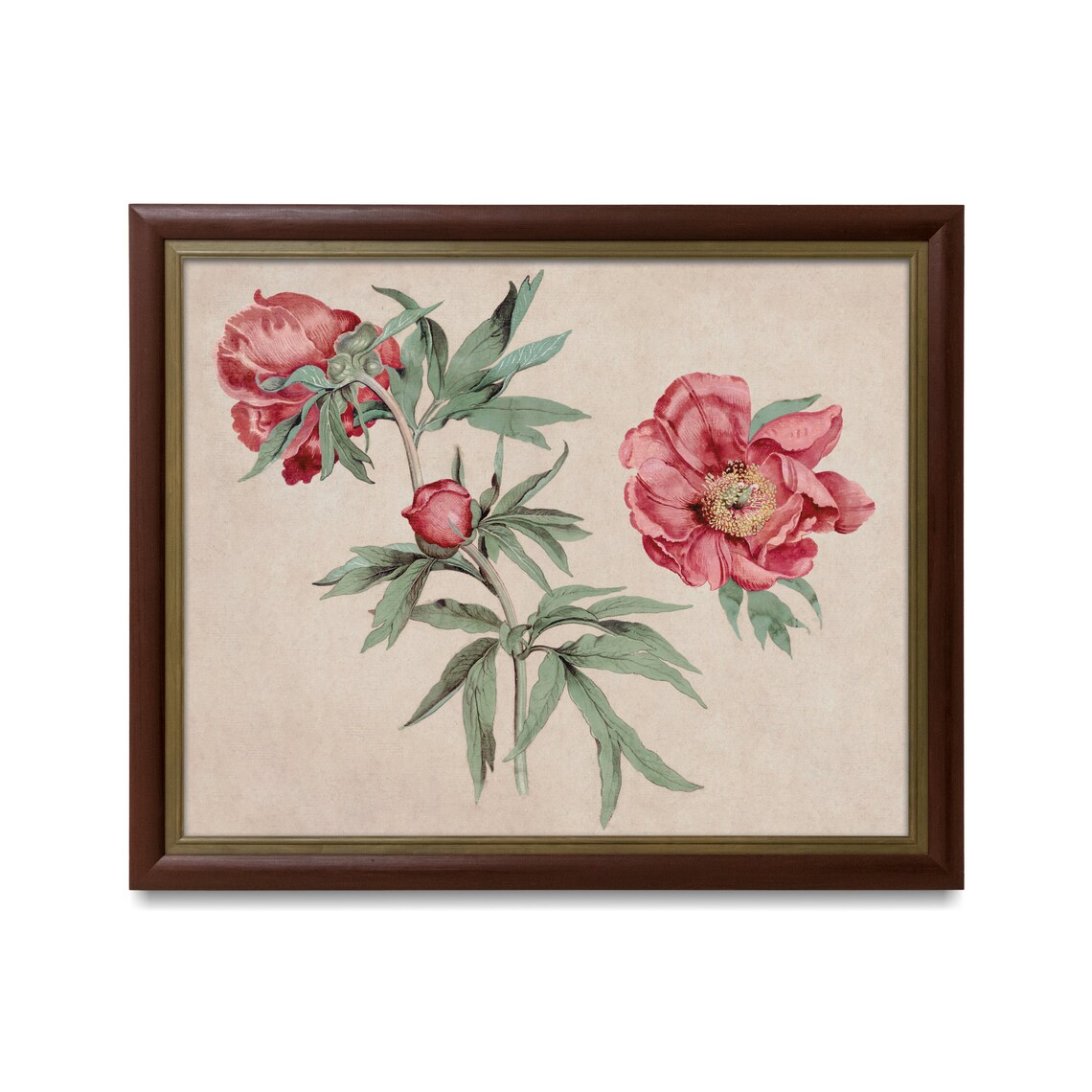 Vintage Peonies Still Life, Farmhouse Floral Art Print - Image 2