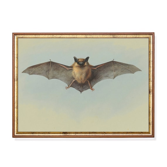 Vintage Bat Painting, Gothic Halloween Art Print