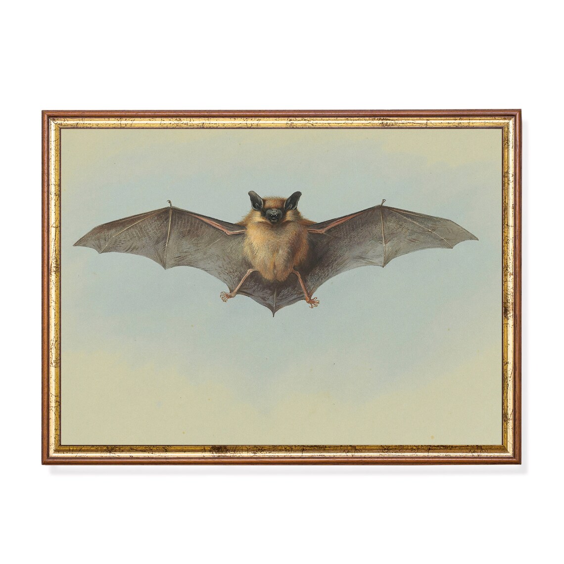 Vintage Bat Painting, Gothic Halloween Art Print
