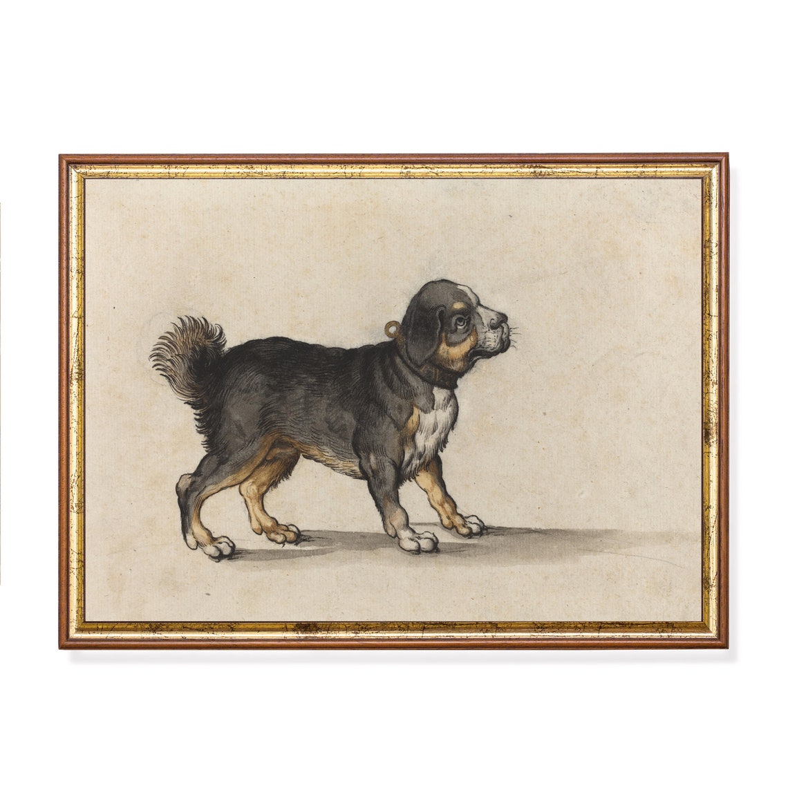 Black and Tan Puppy Standing Sideways in a Profile Study Poster