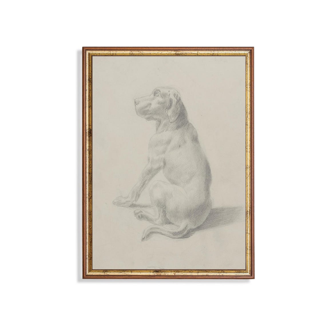 Antique Pencil Sketch Seated Hound Dog Minimalist Animal Art Poster