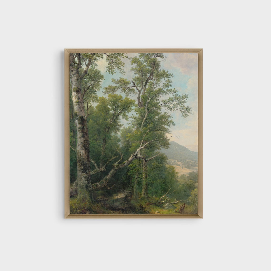 Towering Birch Forest with Mountain Valley View Painting Poster