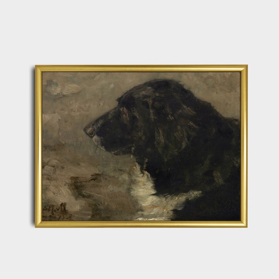 Dark Profile Study of a Black Dog Moody Canine Portrait Poster - Image 5