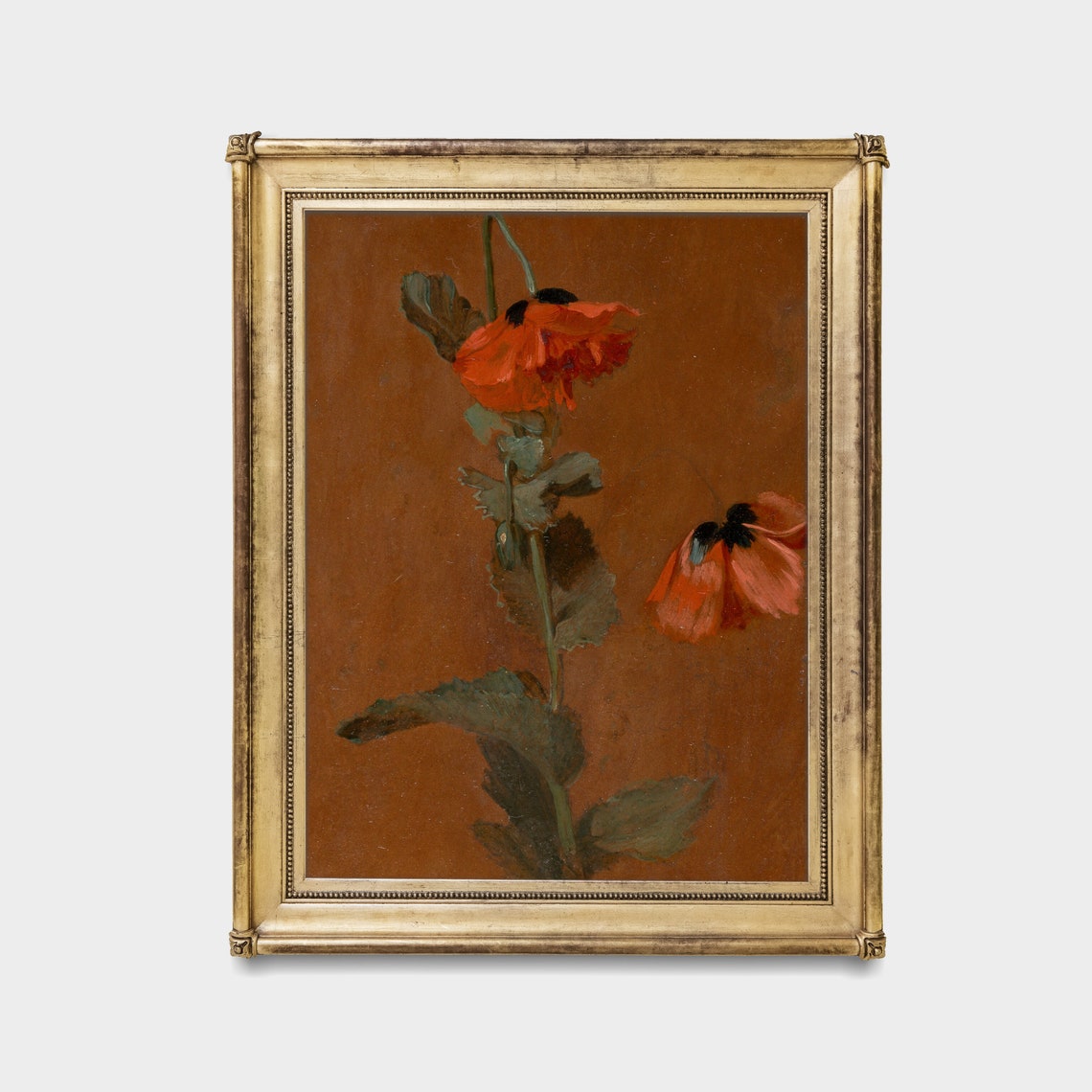 Vibrant Red Poppies on a Warm Brown Background Botanical Oil Poster - Image 3