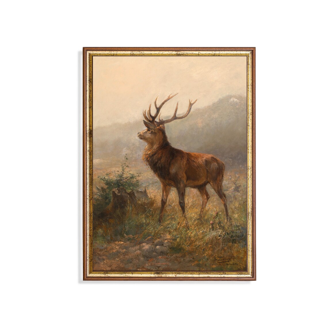 Vintage Red Deer Stag with Antlers in Misty Mountain Meadow Poster