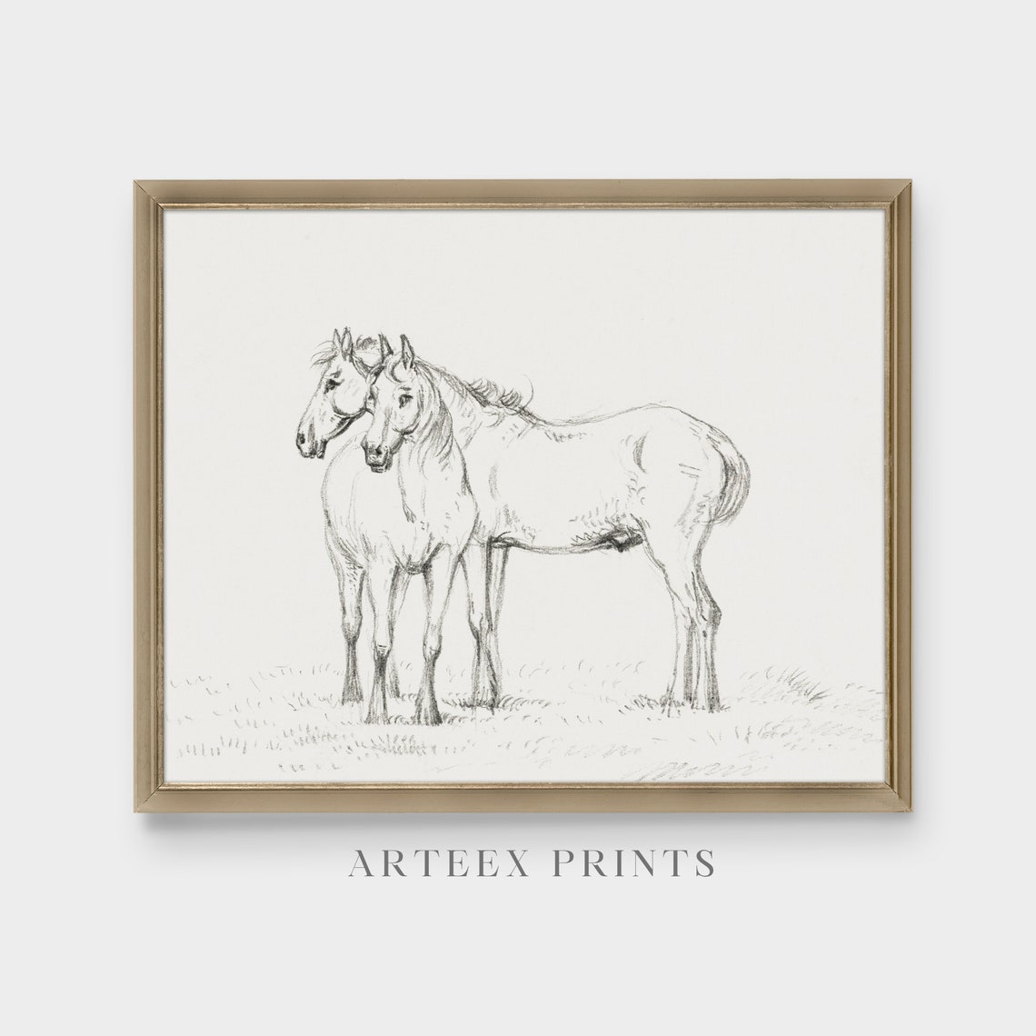 Two Horses Standing Together Antique Pencil Sketch Drawing Poster - Image 3