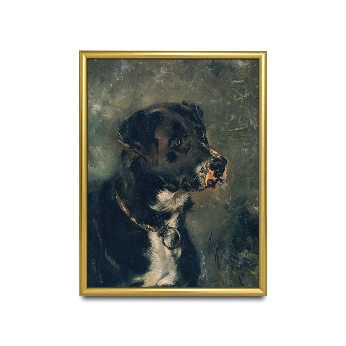Noble Black Dog Portrait with Collar in Side Profile View Poster - Image 2