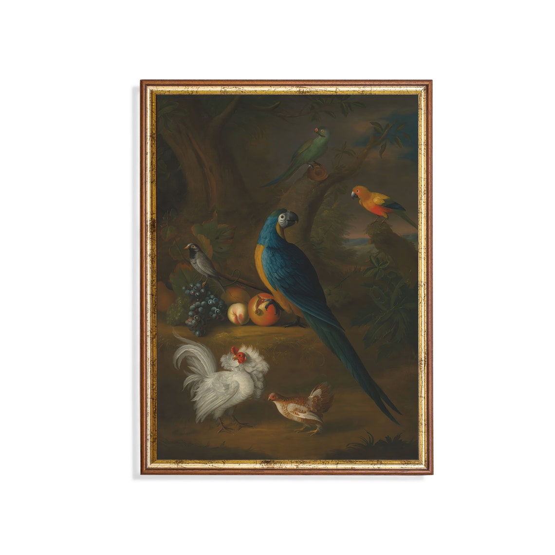 Blue and Gold Macaw With Fresh Fruit in a Dark Woodland Poster