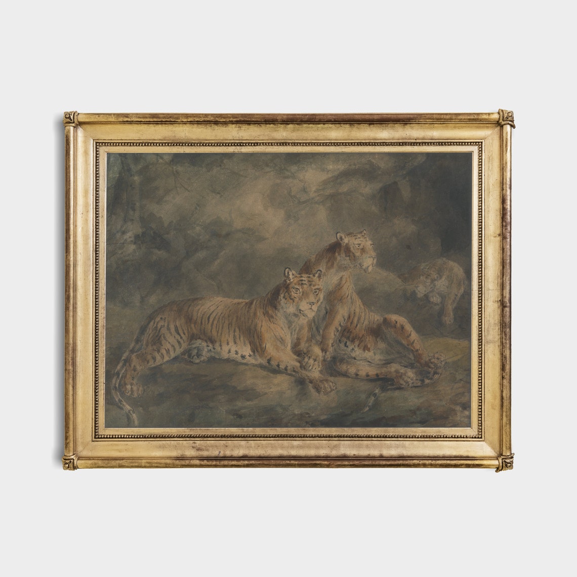 Two Tigers Resting Together on Rocks in a Dark Forest Poster - Image 4