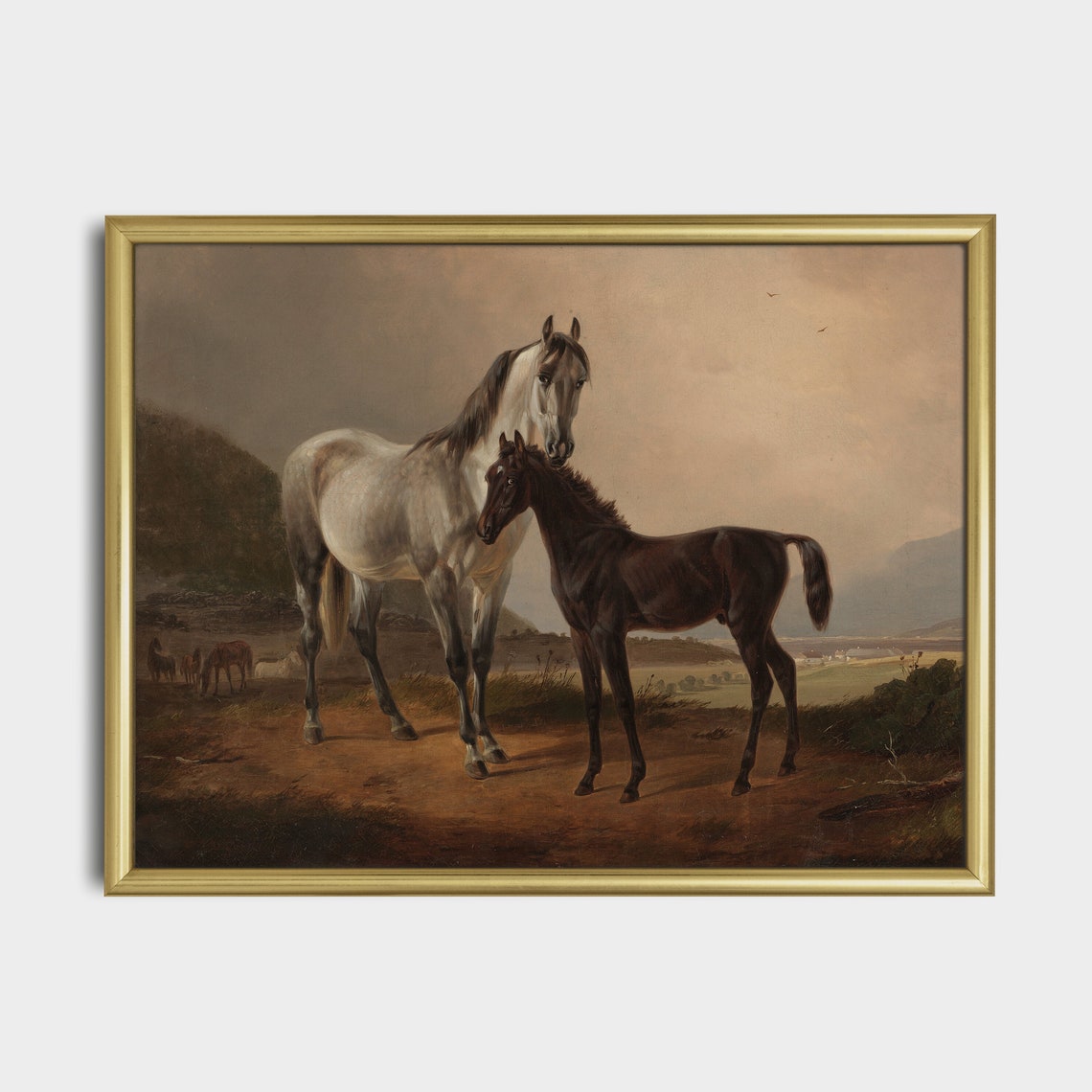 Grey Mare Standing Protectively Beside Her Black Foal Poster - Image 3