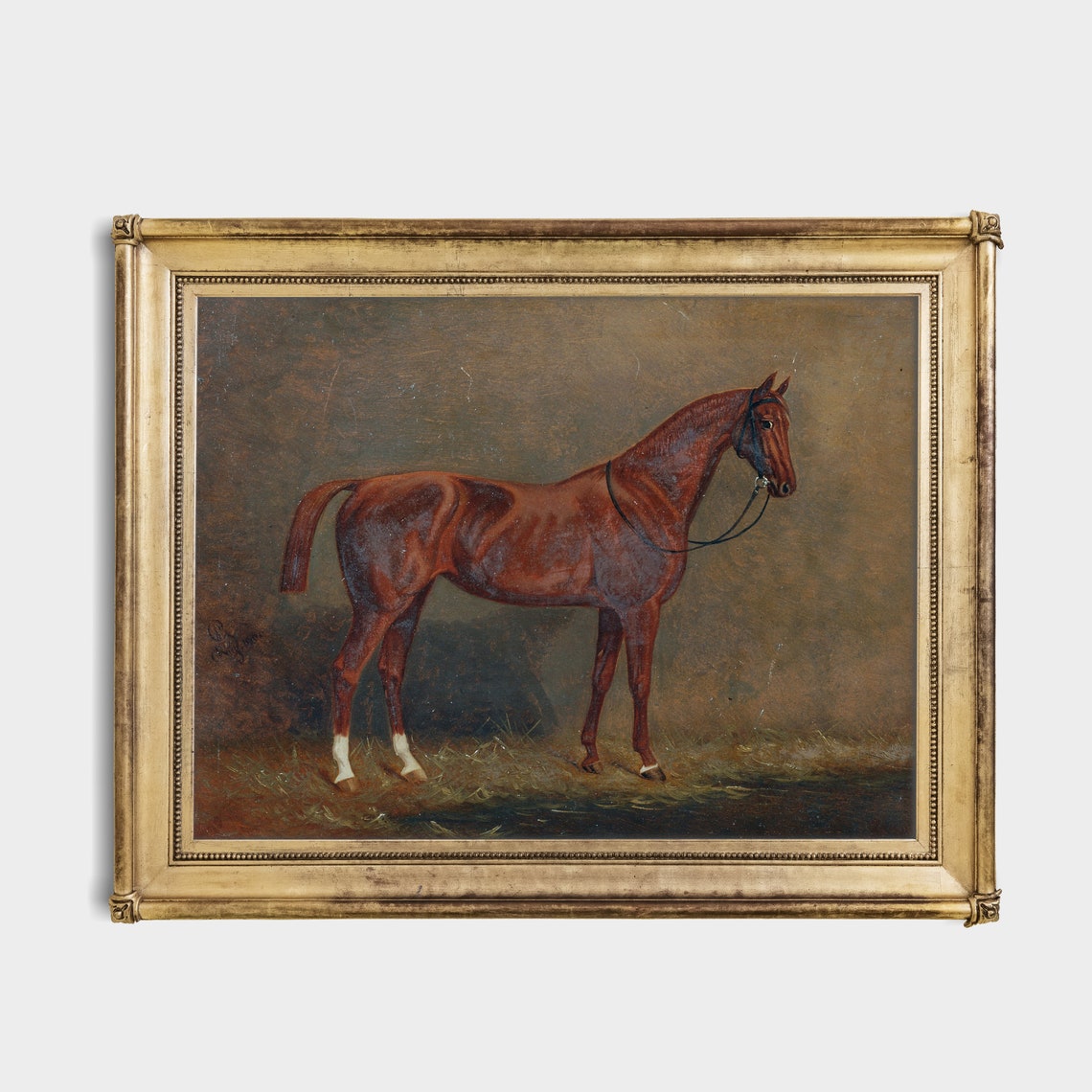 Chestnut Horse Standing in a Dark Stable Interior Vintage Poster - Image 2