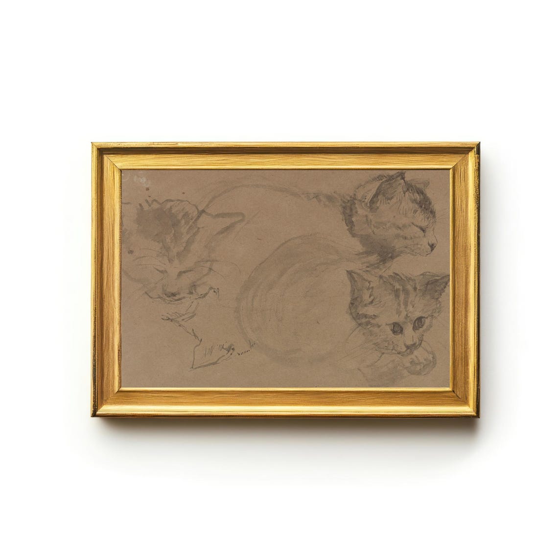 Three Cats Sketch Study Vintage Feline Pencil Drawing Poster - Image 3