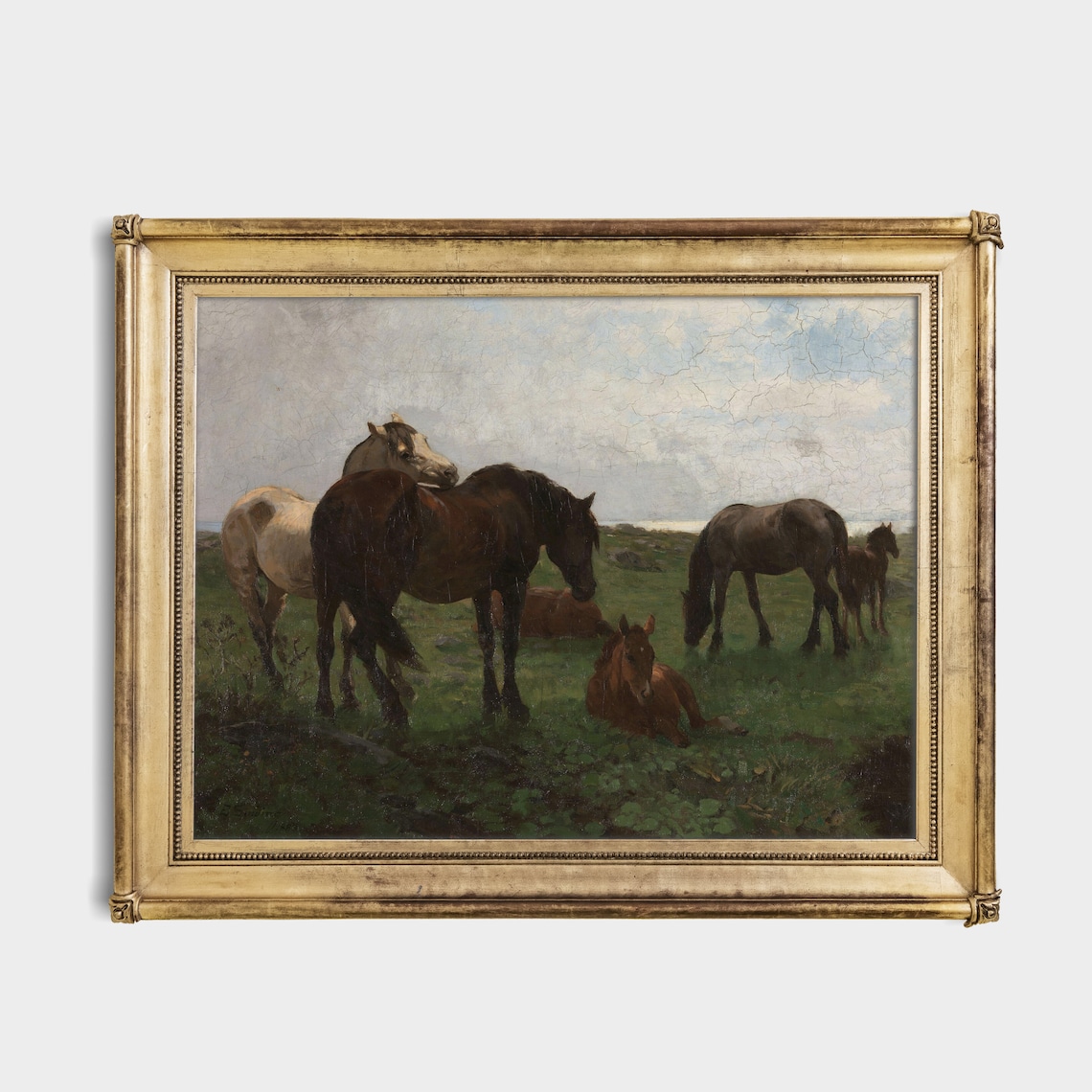 Herd of Horses Grazing in a Green Pasture Vintage Equestrian Poster - Image 2