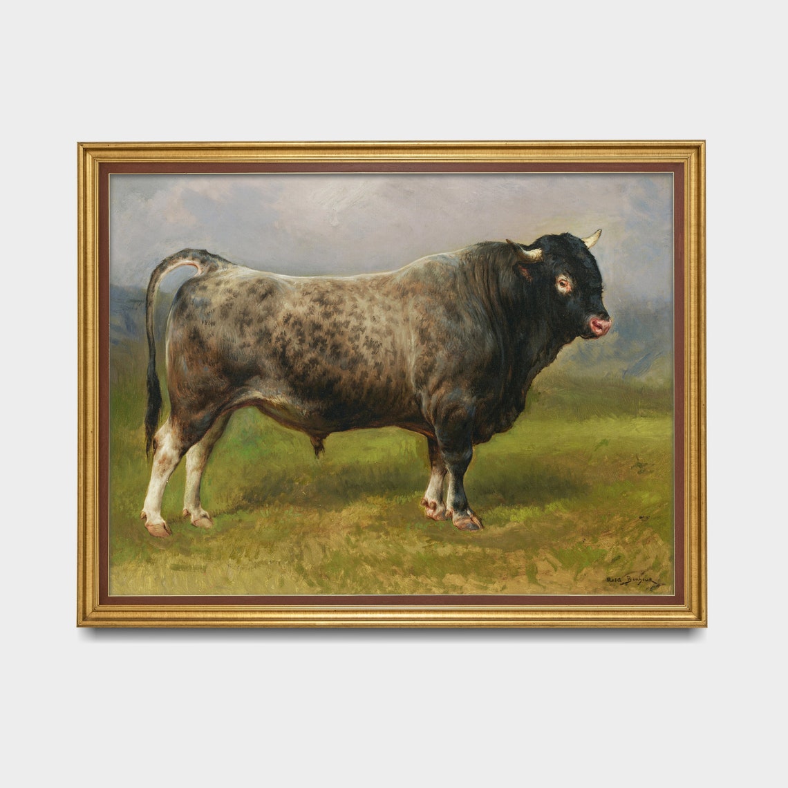 Printed And Shipped Vintage Animal Print Antique Bull Painting Farm Animal Art Farmhouse Decor Fine Art Physical Art Print - Image 3