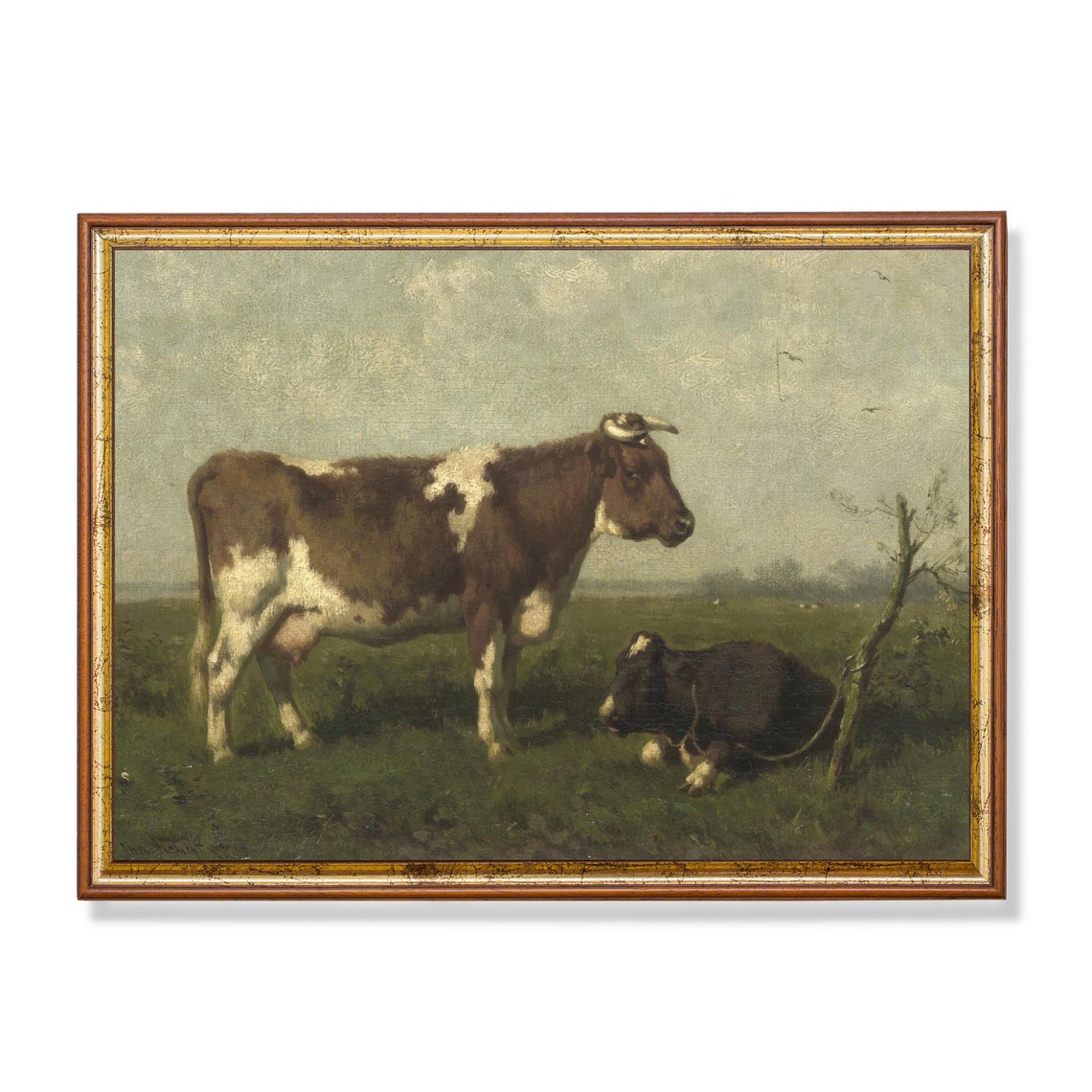 Two Cows in a Green Pasture One Standing and One Resting Poster