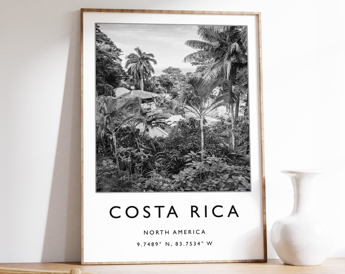 Costa Rica Black and White Jungle Palm Trees Photo Art Poster