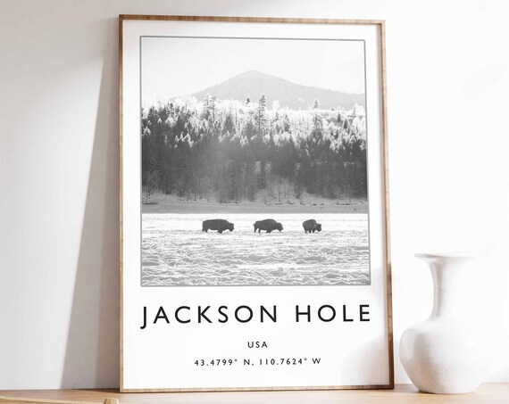 Jackson Hole USA Bison Winter Snowfield Black and White Photo Poster