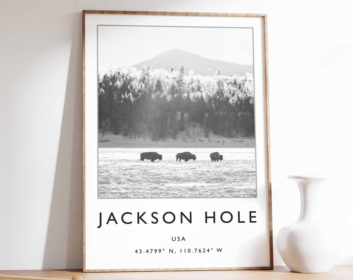 Jackson Hole USA Bison Winter Snowfield Black and White Photo Poster
