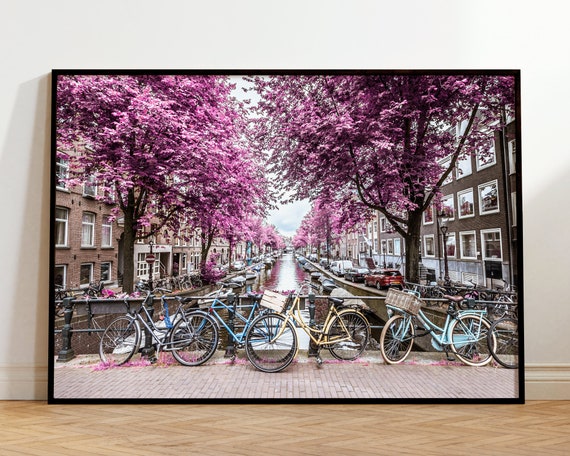 Amsterdam Canal Bikes Pink Blossom Trees Netherlands Travel Poster