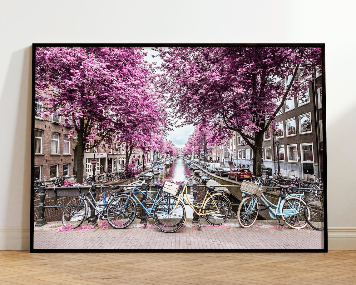 Amsterdam Canal Bikes Pink Blossom Trees Netherlands Travel Poster