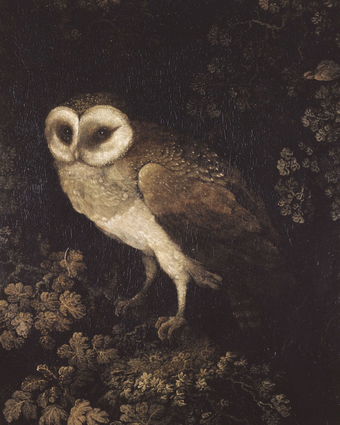 Owl Vintage Art Print, Neutral Dark Academia Decor - Image 3
