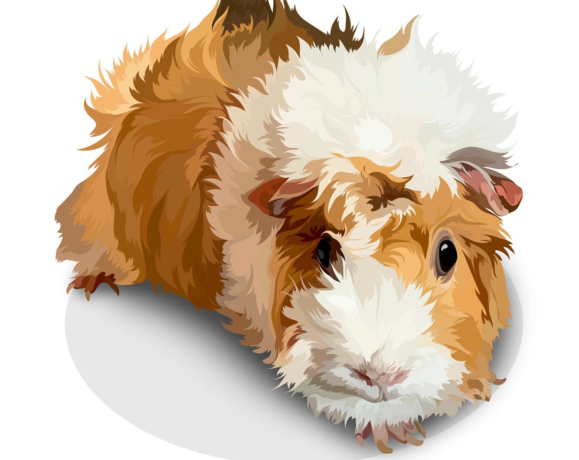 Custom Royal Guinea Pig Portrait Regal Pet Lover Gift Wall Art
