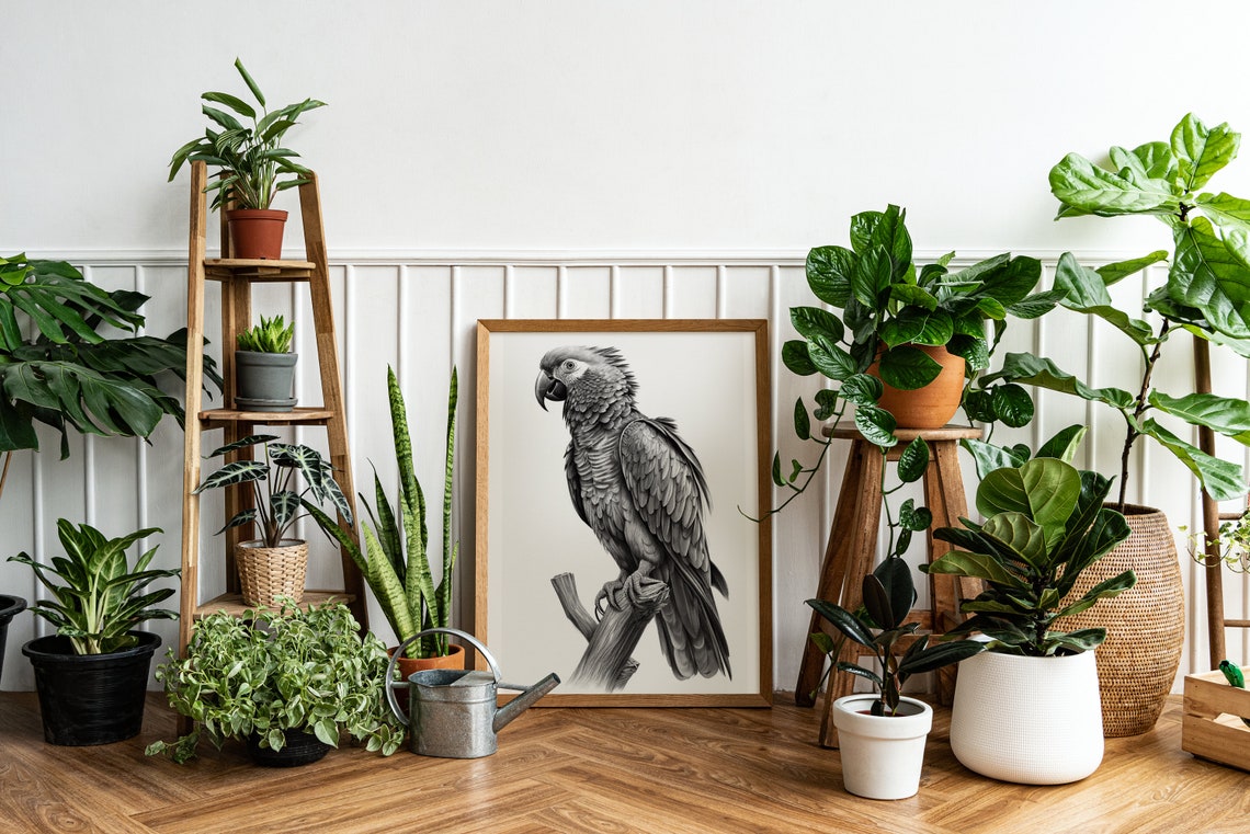 Parrot Pencil Sketch Black and White Bird Drawing Art Poster - Image 3