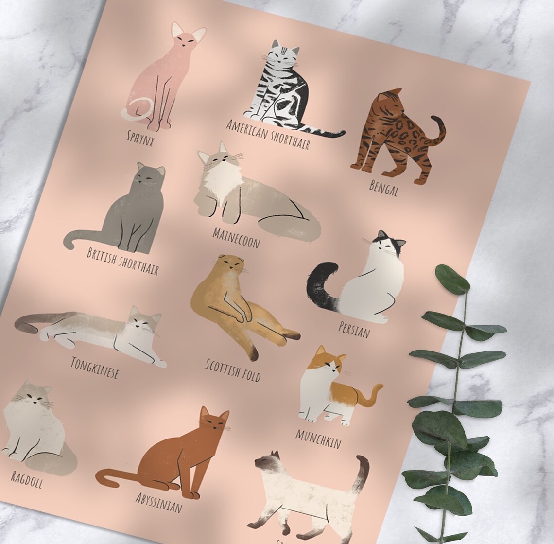 Cat Breeds Poster, Cat Portrait Drawing Guide - Image 4